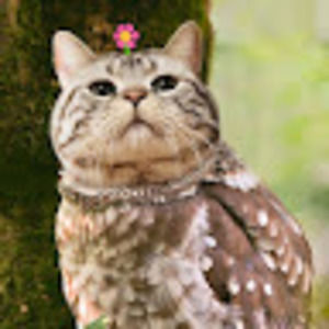 Meet your Posher, Cathy